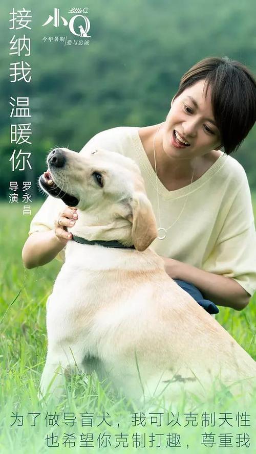 埃及驾驶证怎么购买